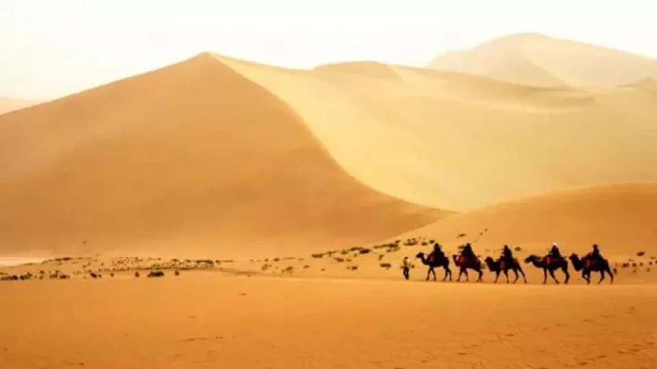 沙漠中的骆驼队（示意图）