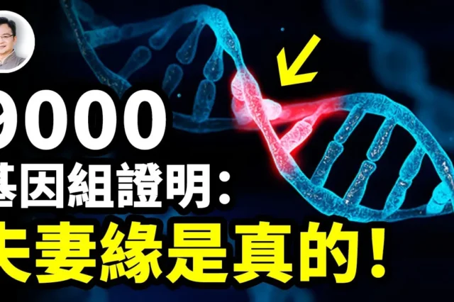 夫妻缘真的存在？九千人类基因组证明：月老的红线隐藏在你的基因里